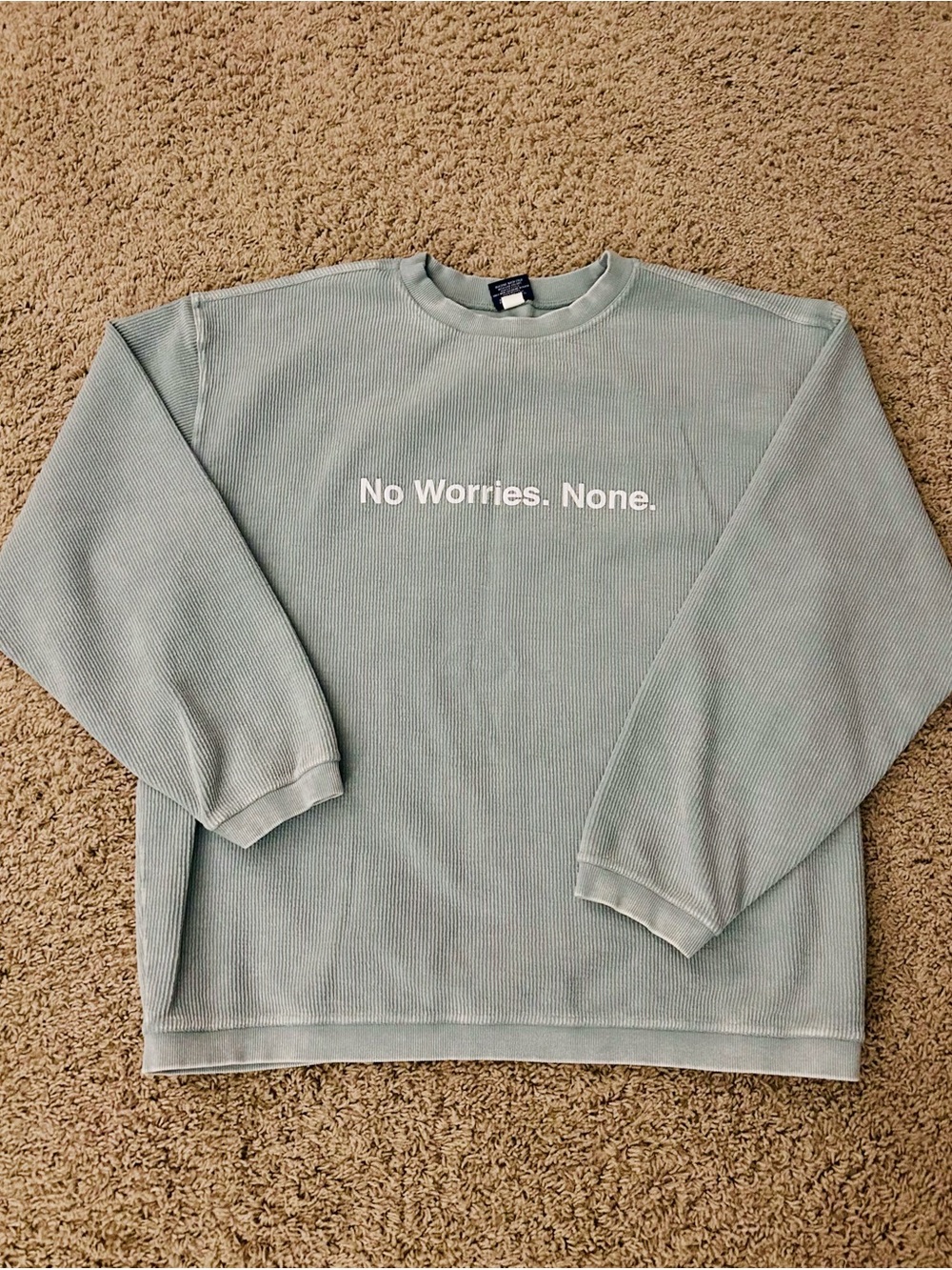 No Worries None. Crewneck Sweatshirt - Light Sage
